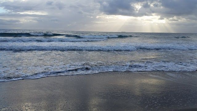 Omanu Beach Surf Club